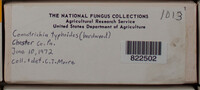 Image Associated With the Occurence